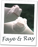 Faye and Ray