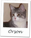 Orson